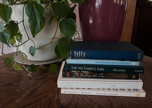Stack of books about homemaking on a table with a potted plant and a maroon lamp in the background.